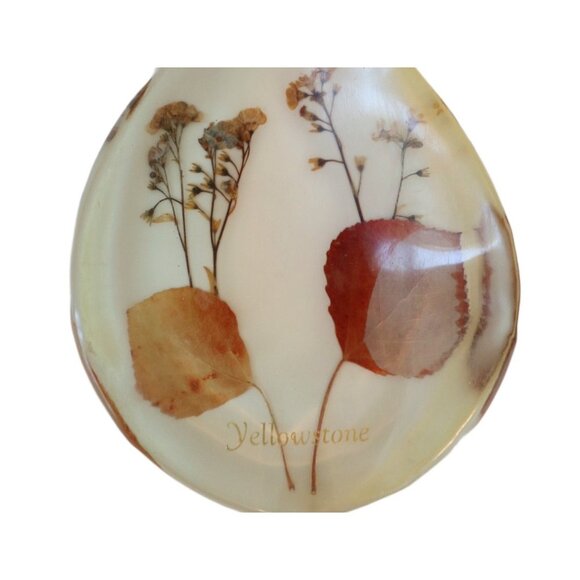 Vintage Lucite Spoon & Napkin Holder Starfish Shell Abalone Souvenir Yellstone - Picture 4 of 5